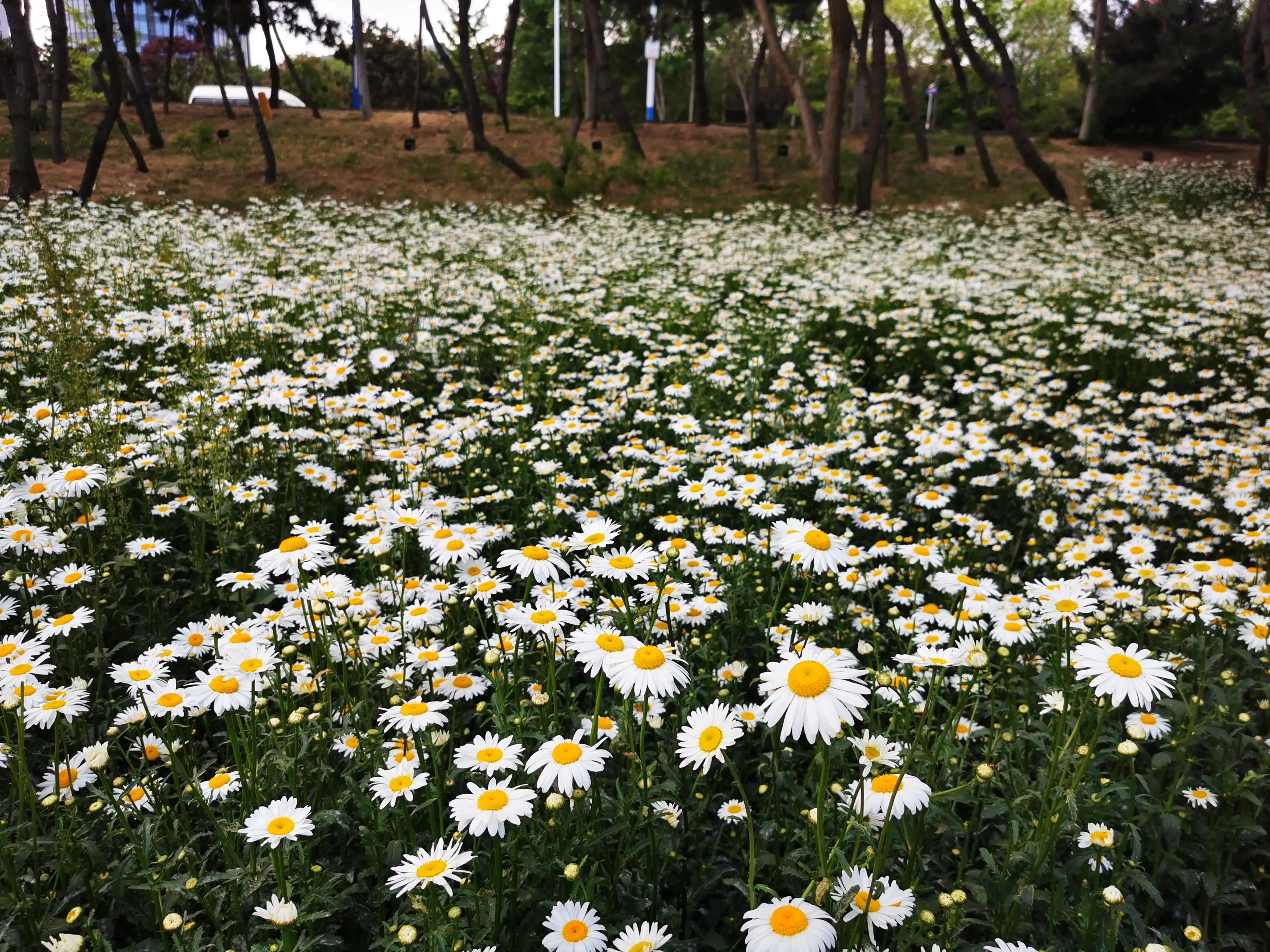 蜗牛徒步999,蜗牛徒步视频