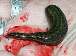 命运红绳小说,命运红绳大结局