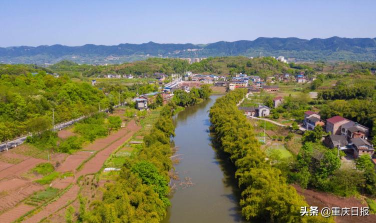 变则通善于变通,变则通顺其自然