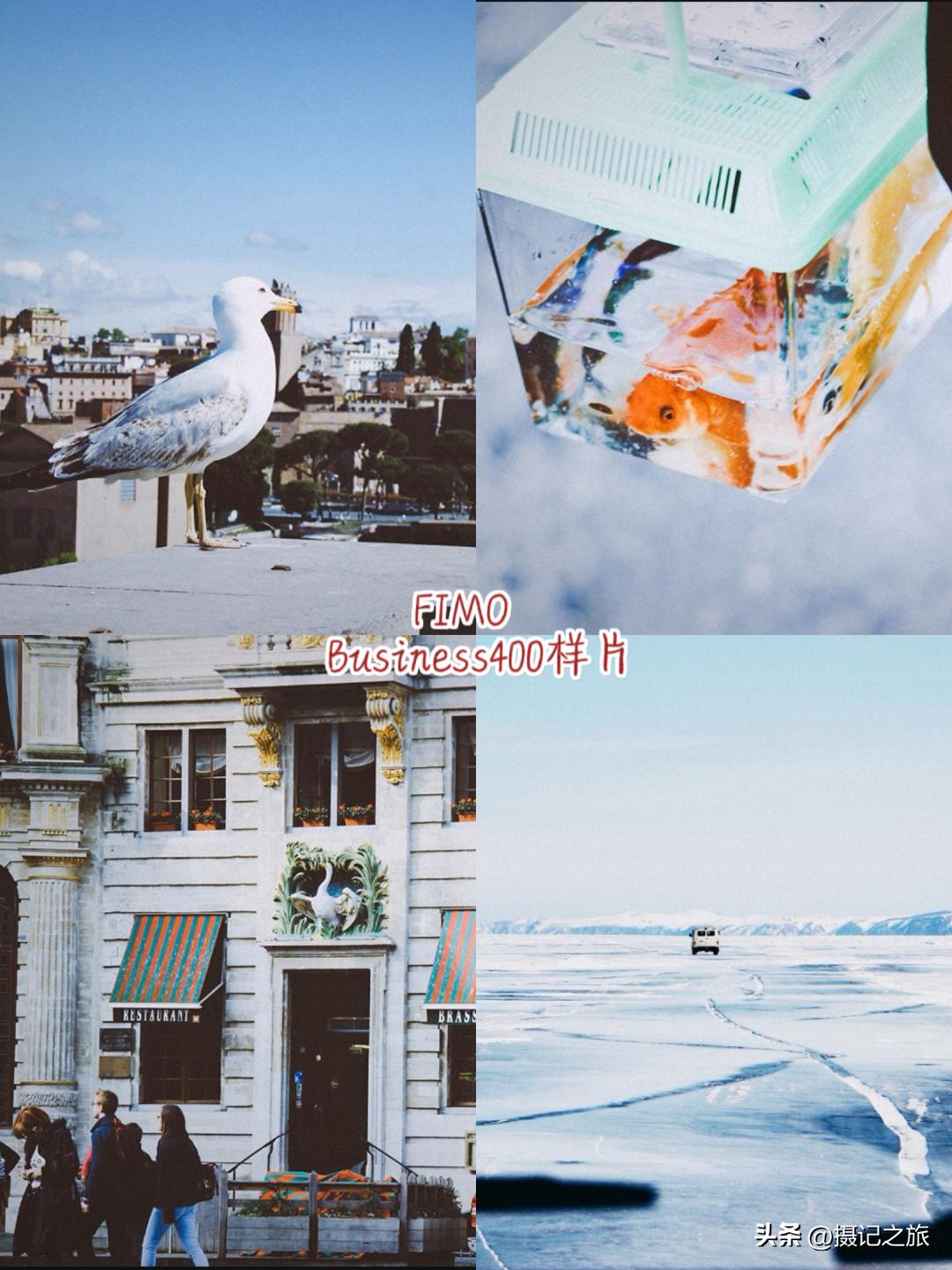 出片神器|4款超好用的仿胶片app推荐