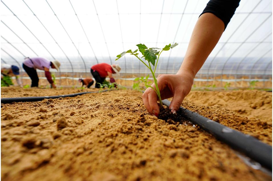 物流科学的发展经过什么的过程,物流的基本原理是啥