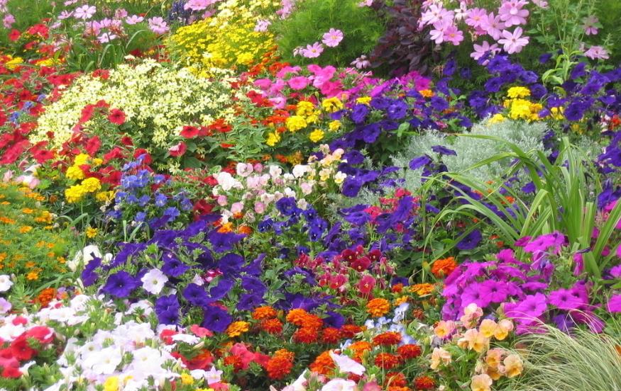 闲适诗15首经典,最有趣的六首诗让人从头笑到尾