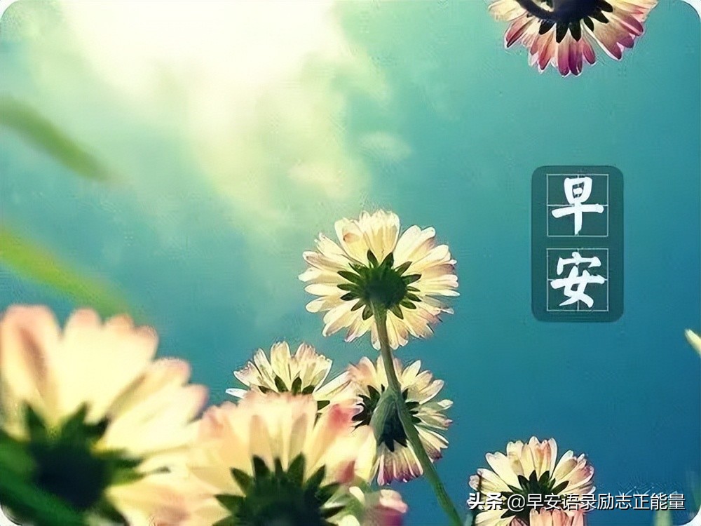励志早安心语配图微商,励志微商正能量早安语录图片大全