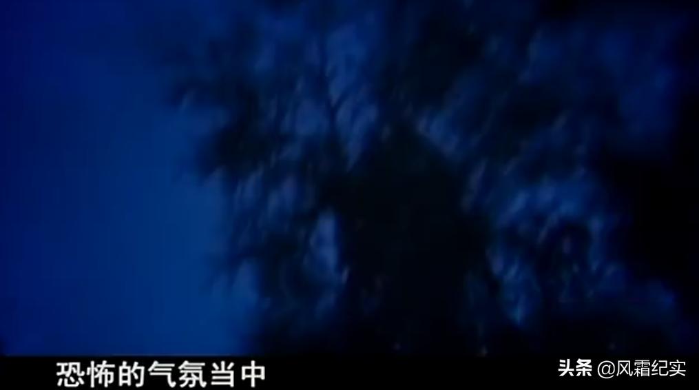 湖南男子失踪事件,湖南小伙走失十年后见到亲人