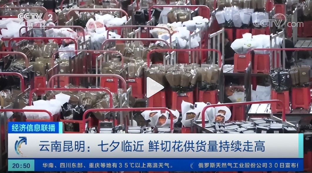 七夕礼物比拼,七夕礼物大比拼