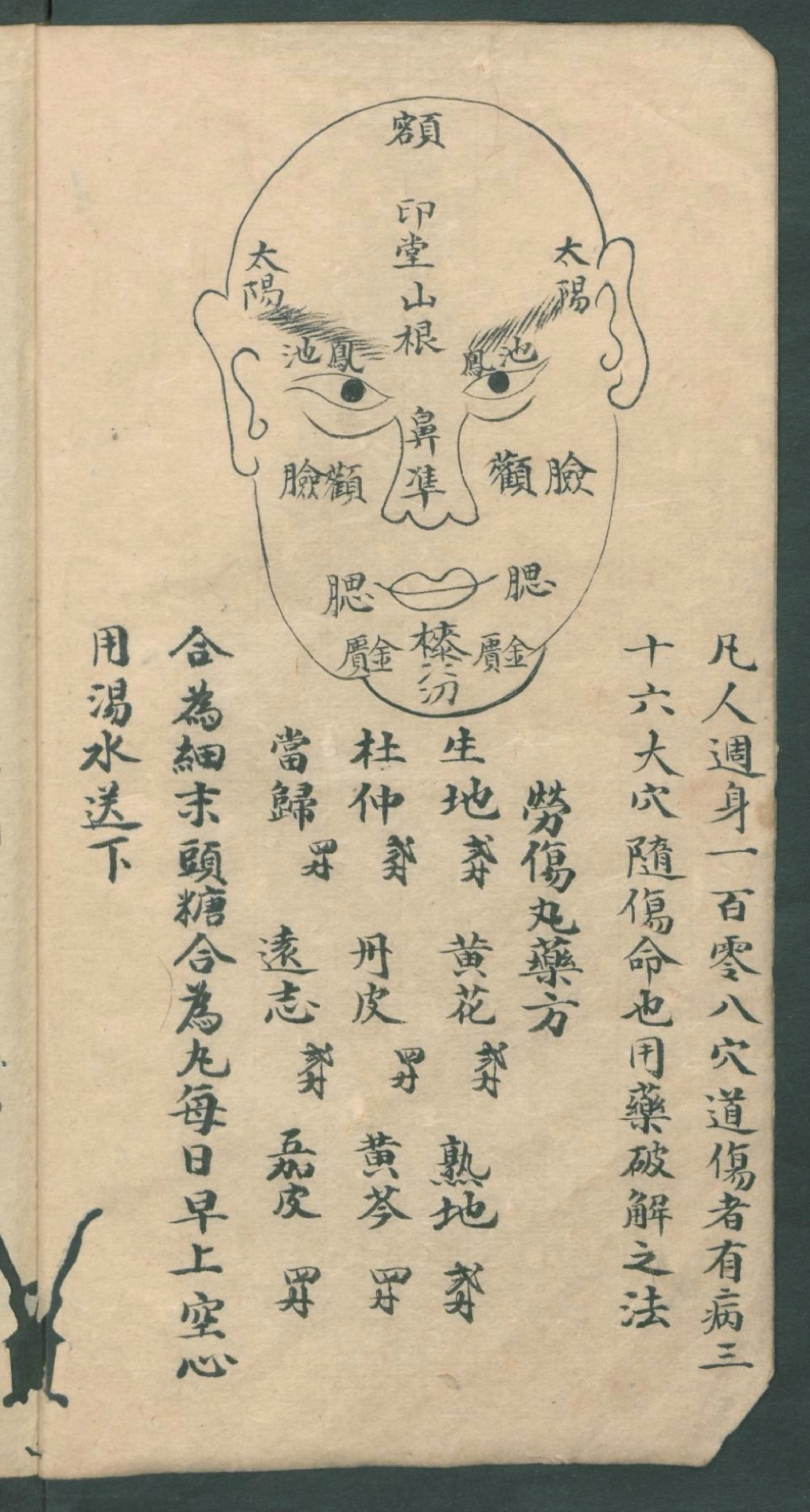 秘传跌打秘方,秘传跌打药方