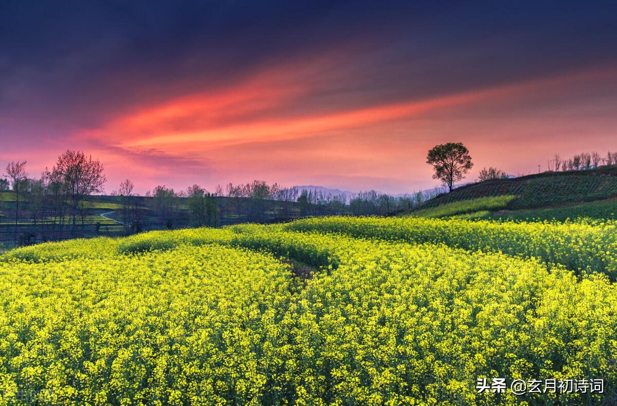 人道*光春**好，我言春堪怜，三*长首**相思诉说春天的情绪