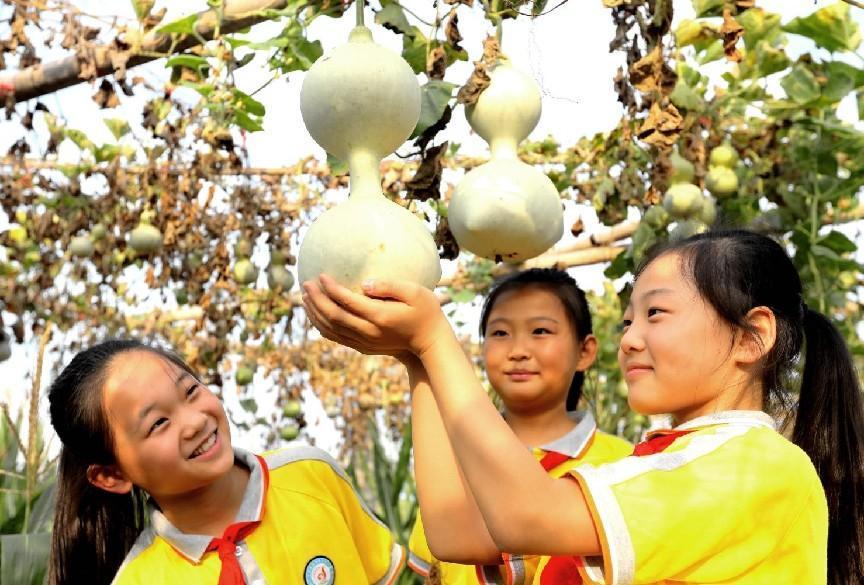 底阁中心小学2018,峄城底阁小学