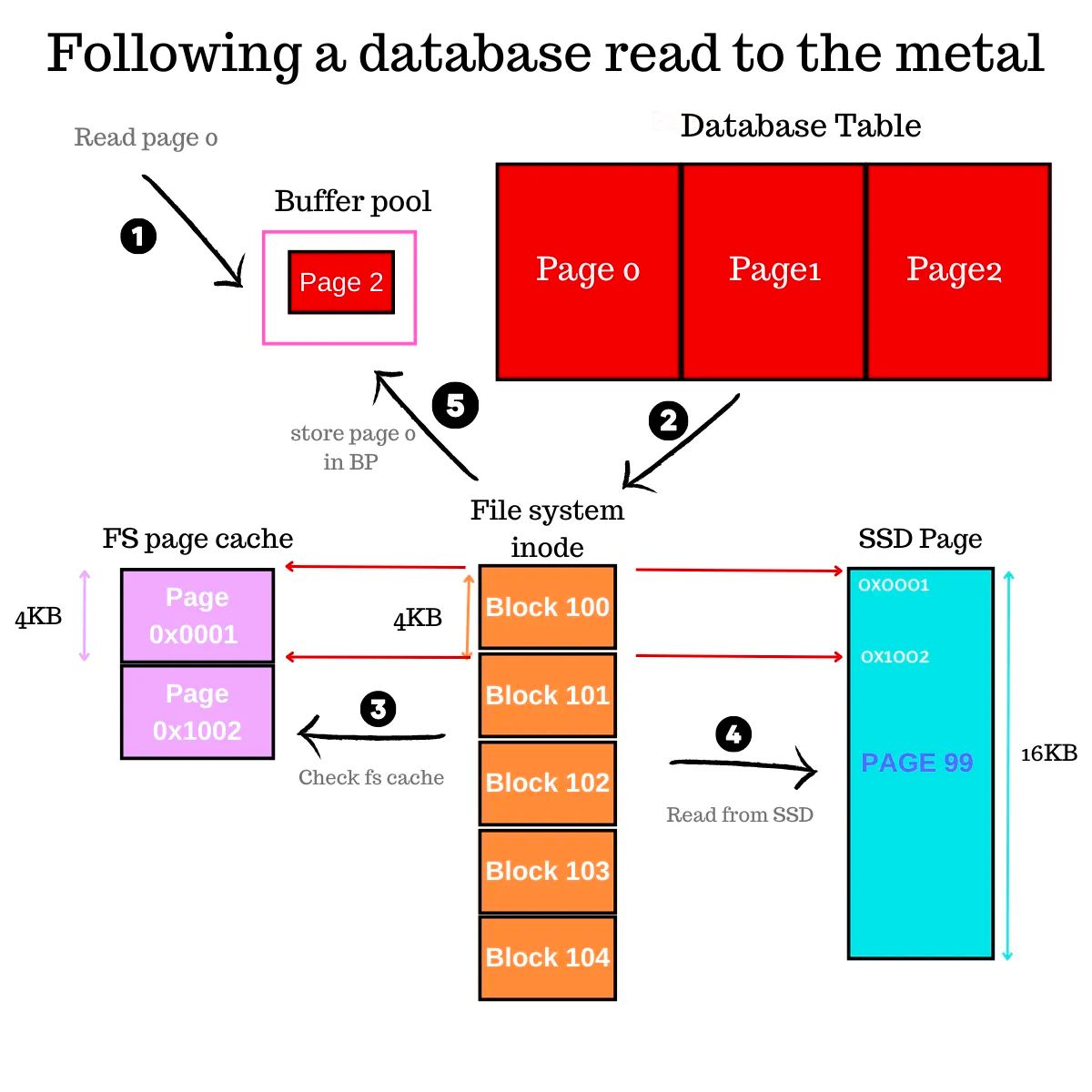 从数据库中导入导出数据,从数据库中读取文件