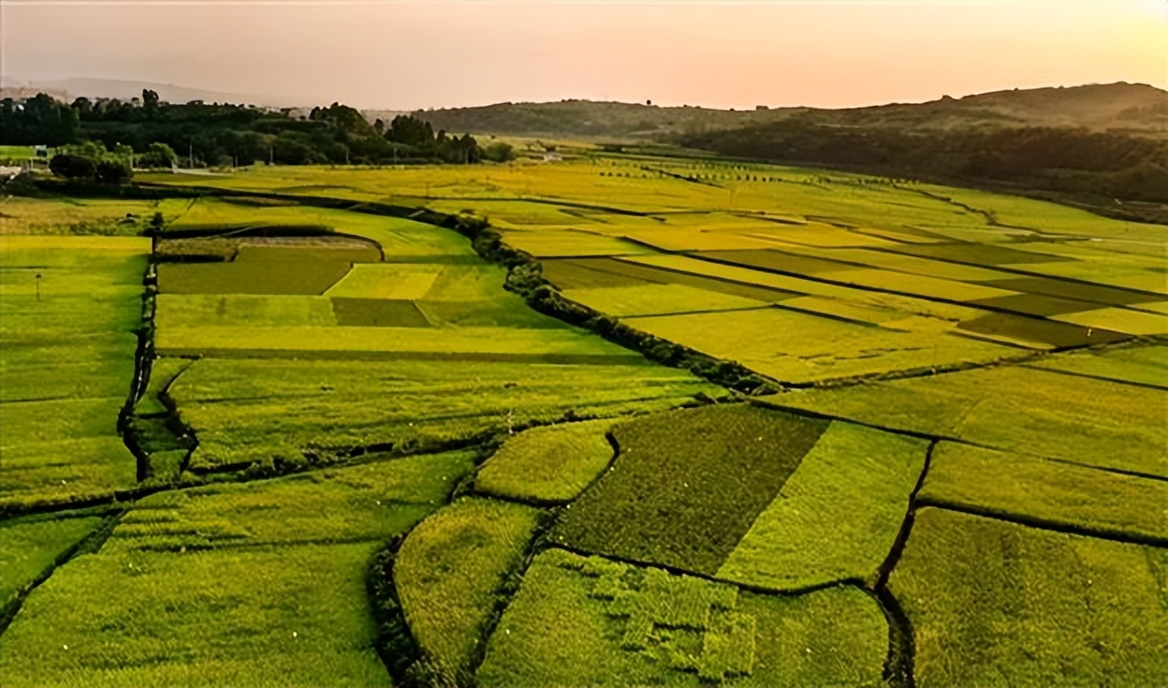 2021一号文件耕地政策,2023年新土地统一耕种是真的吗