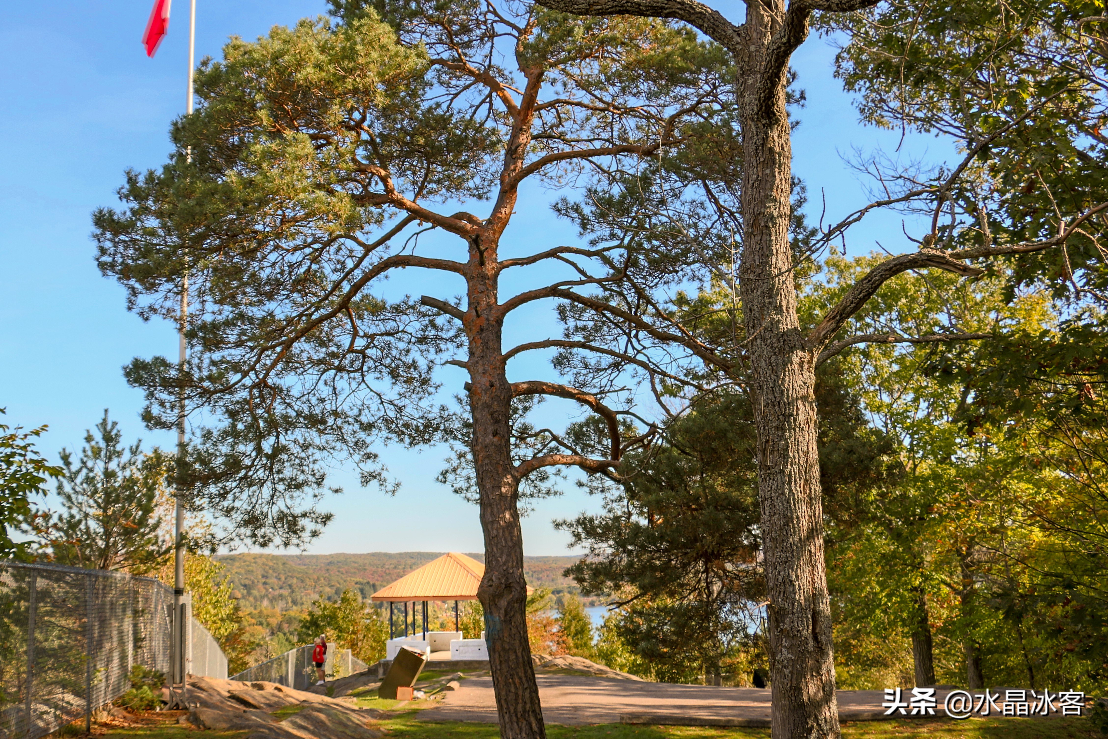 美东加东旅游,美东加东