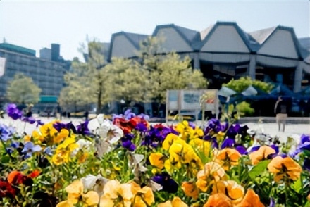 德国鸿波鲁尔大学,波鸿鲁尔大学qs