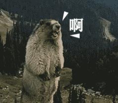 古筝看一眼就能会的曲子,古筝的谱容易看吗