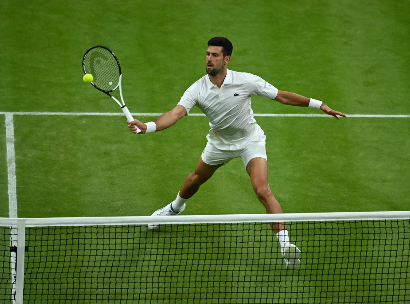 2024澳网德约科维奇比赛直播,2024澳网直播德约科维奇比赛