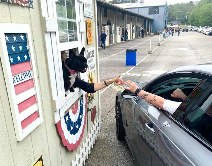 20个让人意想不到的谜语,20张惊人相似照片