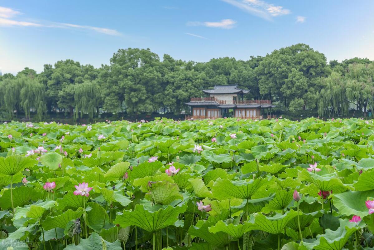 西湖十景介绍ppt,西湖十景介绍有收费的吗