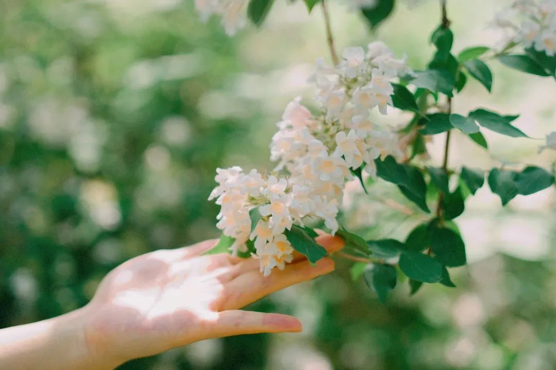 北京居庸关花海栈道,北京四季花海景区