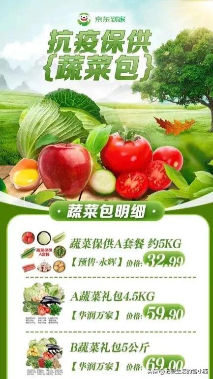 重庆网上蔬菜批发平台哪个好,最好的买菜网购平台