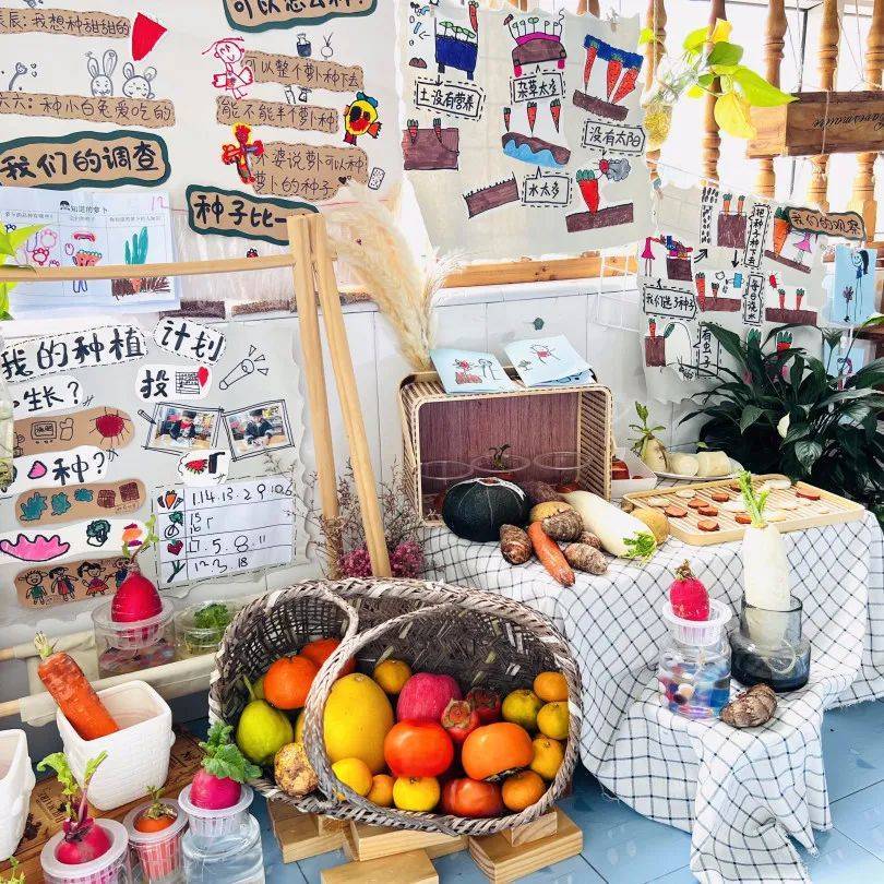 生态环创幼儿园自然角,幼儿园环创自然角实验