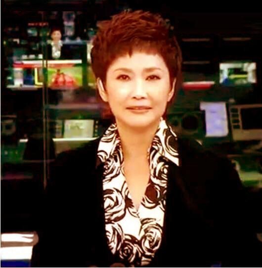 宁辛还在央视吗,主持人宁辛个人简介