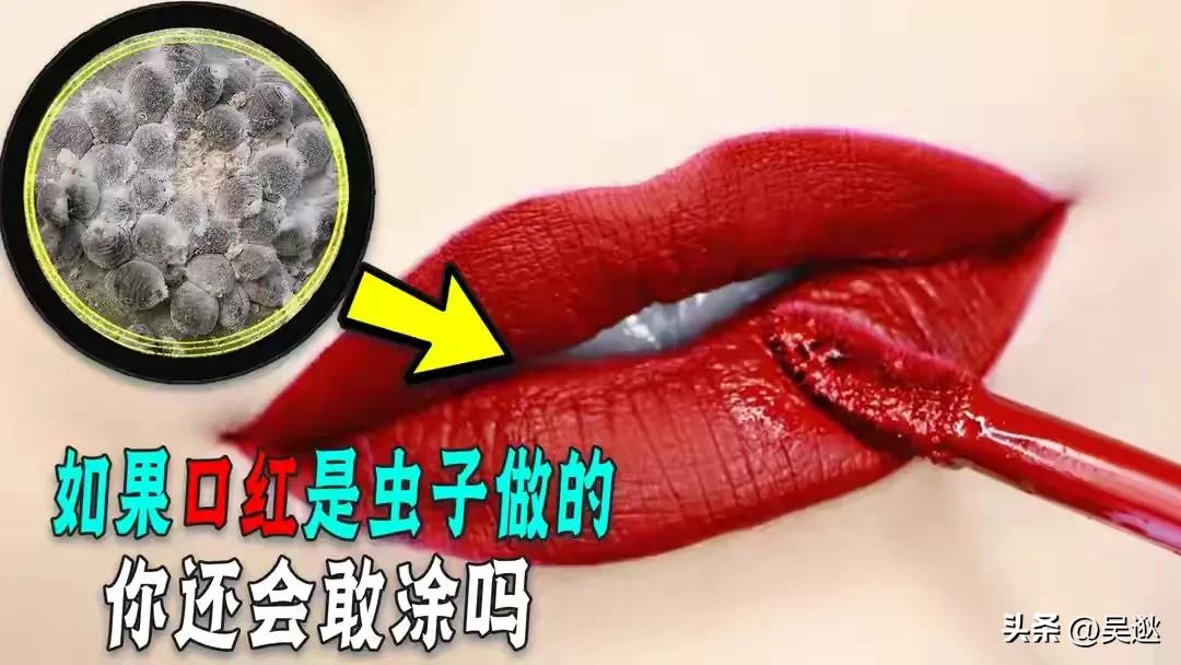 口红是虫子的尸体做的吗,女生口红是虫子尸体提炼的吗