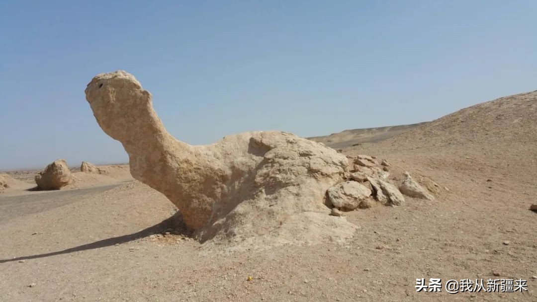 omg眼影青蓝紫 (omg眼影)