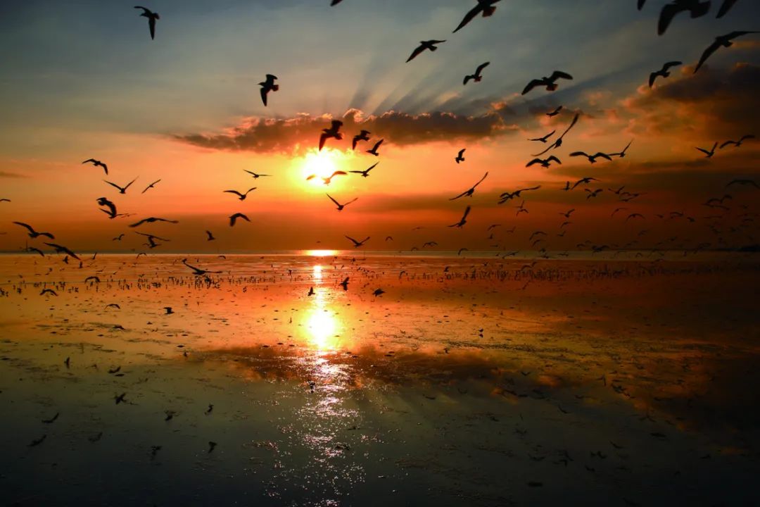 极简风光摄影拍摄技巧,如何拍出风光摄影大片