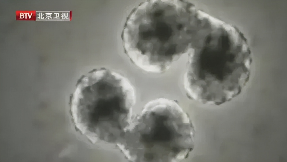 中国香港连续7年获全球最长寿地区冠军！这6大“养生秘诀”告诉你