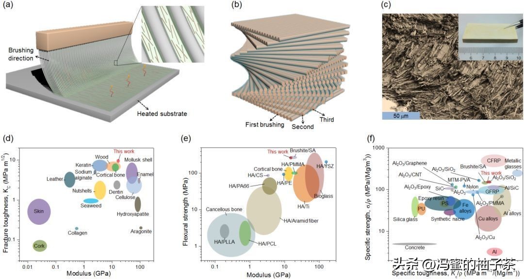 为何分级组织的天然衍生材料,是高性能生物纳米复合材料的候选?