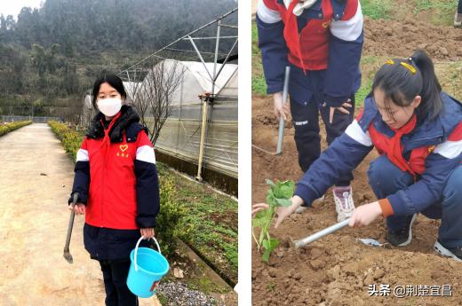 宜昌五中学校,五中教育实践活动