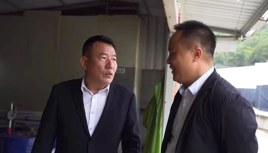 日本鳗鱼福建造，福建人林文生：一吨鳗鱼18万，利润五成