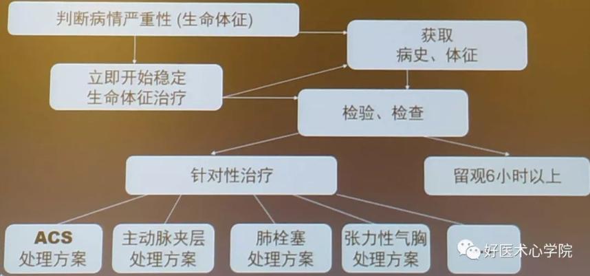 胸痛的应对知识技能培训,胸痛基础知识讲解视频
