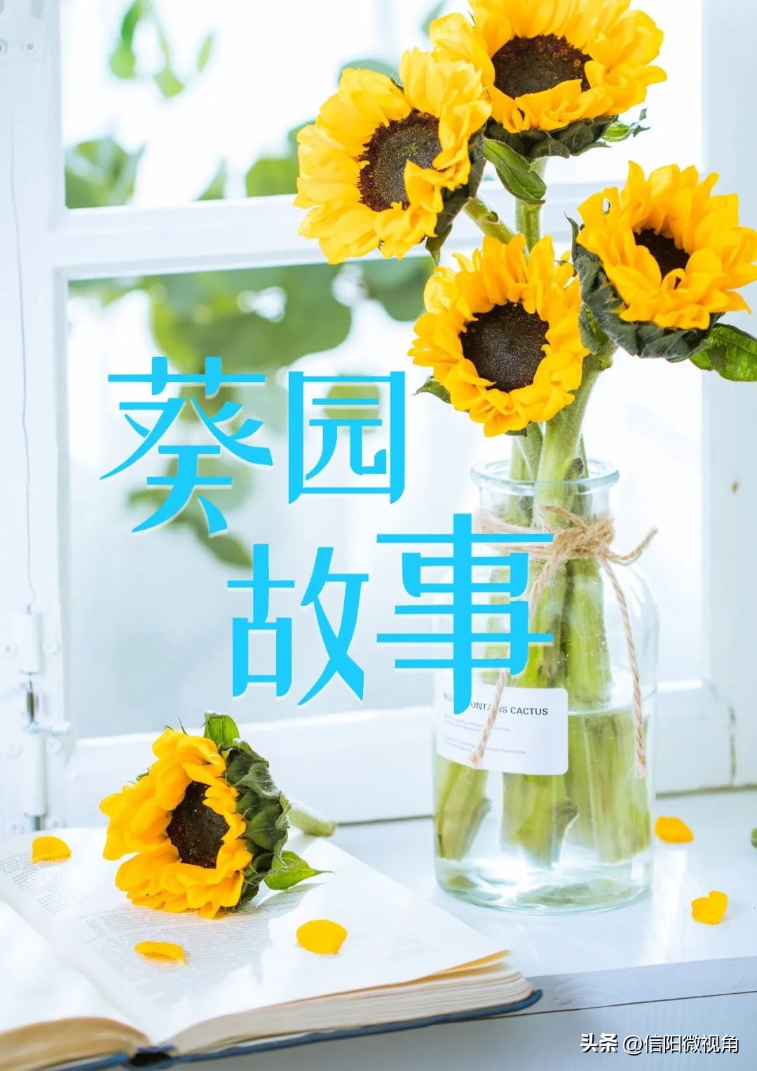 羊山外国语小学一年级班主任,信阳羊山外国语小学老师