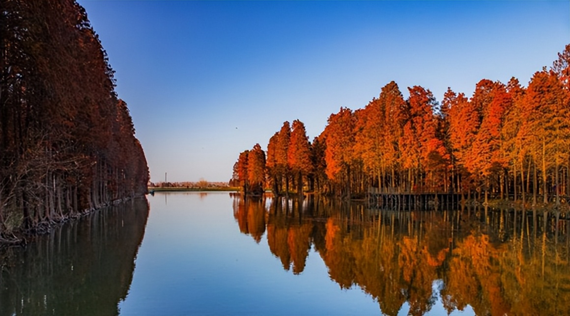 兴化千垛花海和盐城荷兰花海,江苏兴化苏北水乡