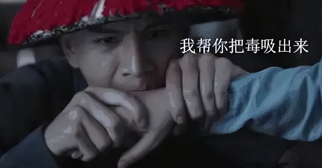 小伙徒手抓竹叶青后续,胆大的小伙用毒蛇咬了会怎么样