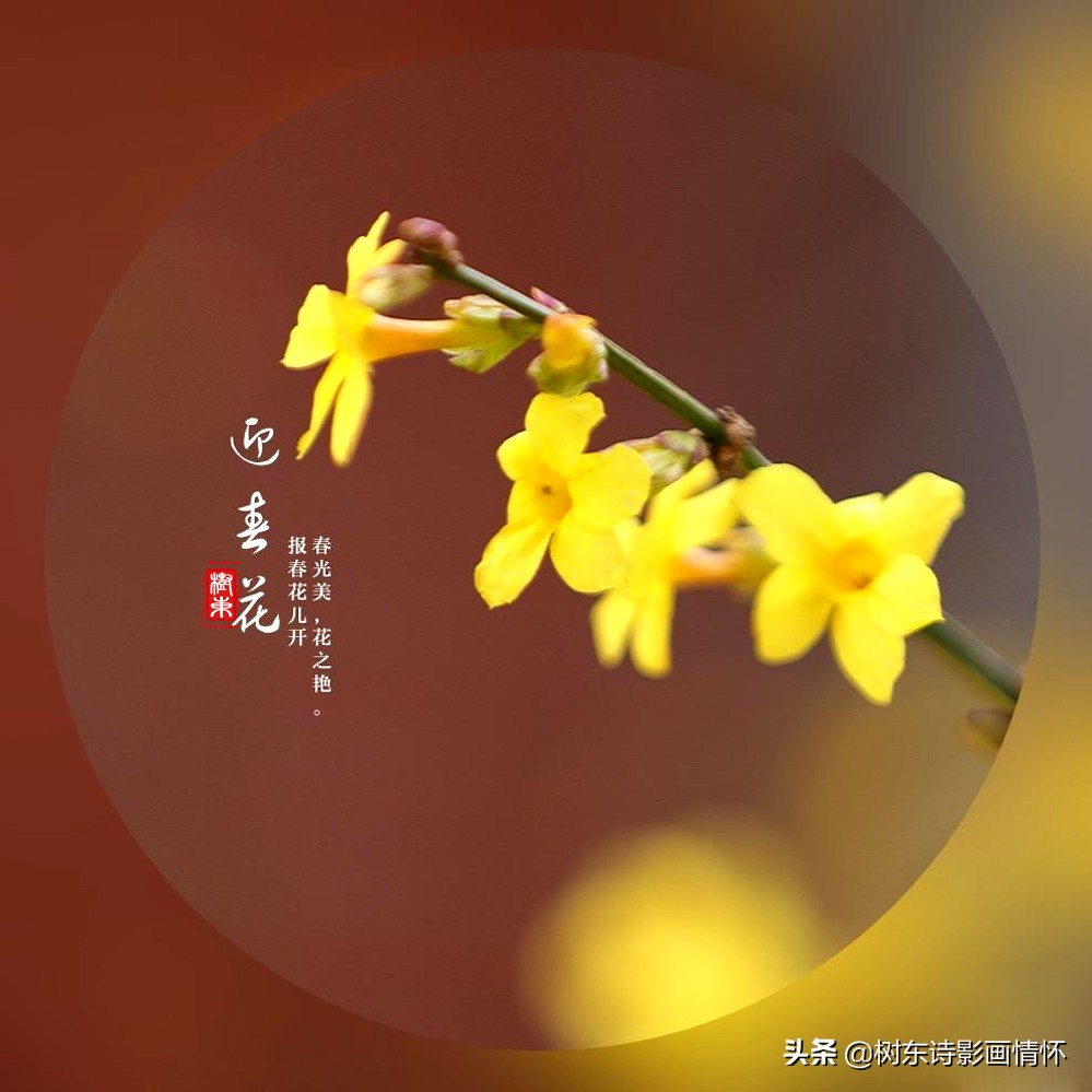 诗词中最美的春天,100句诗词写出最美的春天