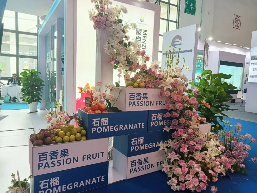 云南的南博会,云南南博会是做什么