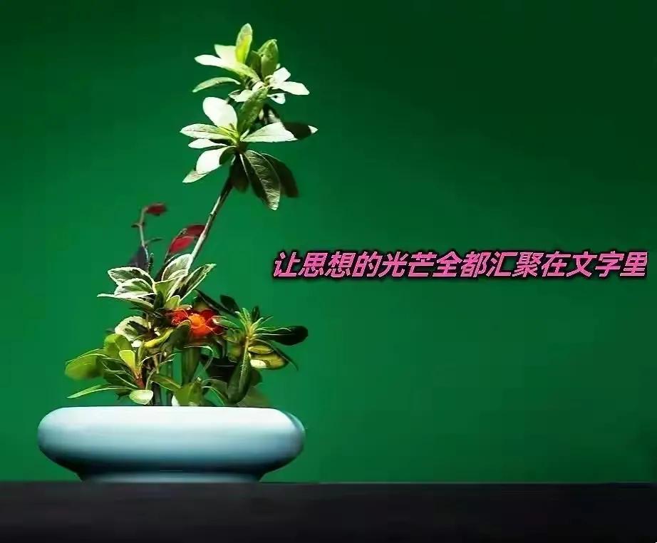 欧阳修批判史家,欧阳修被贬的启示