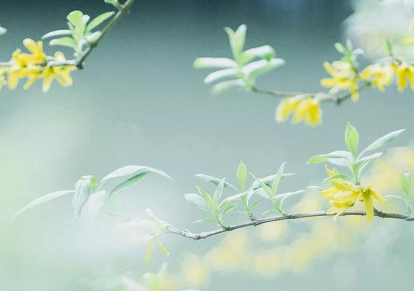 增广贤文精华120句,千古名篇增广贤文精华10句