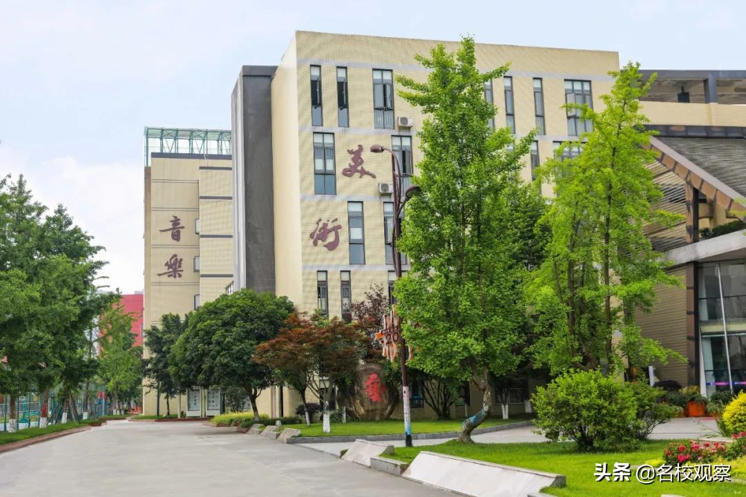 双流艺体特长生招生条件,双流艺体中学2024年艺体特长生