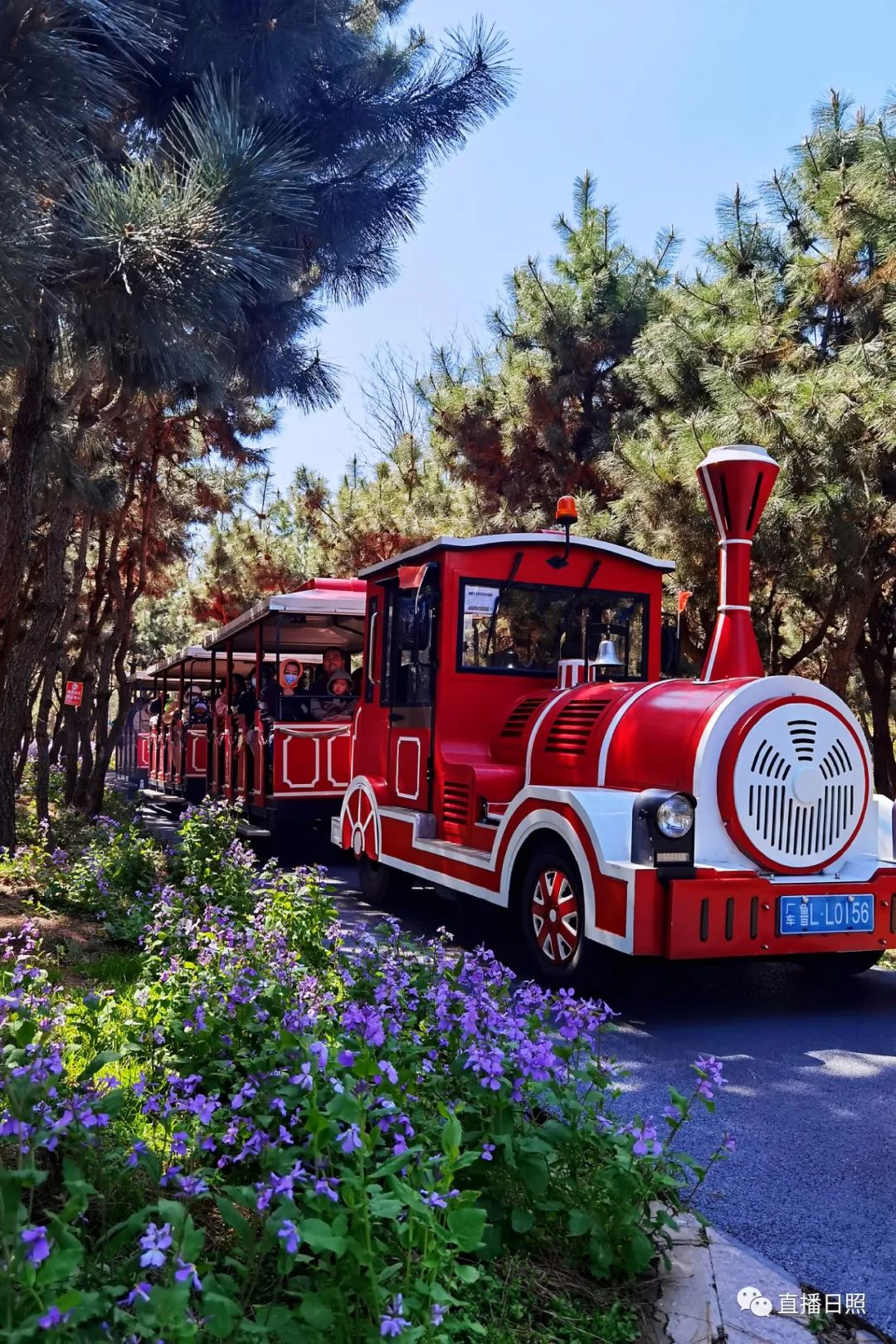 日照夜生活哪里玩,日照晚上去哪里玩