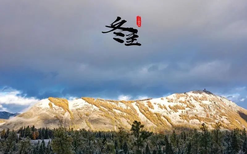 冬天来了春天还会远吗二年级,冬天来了春天还会远吗最佳配图