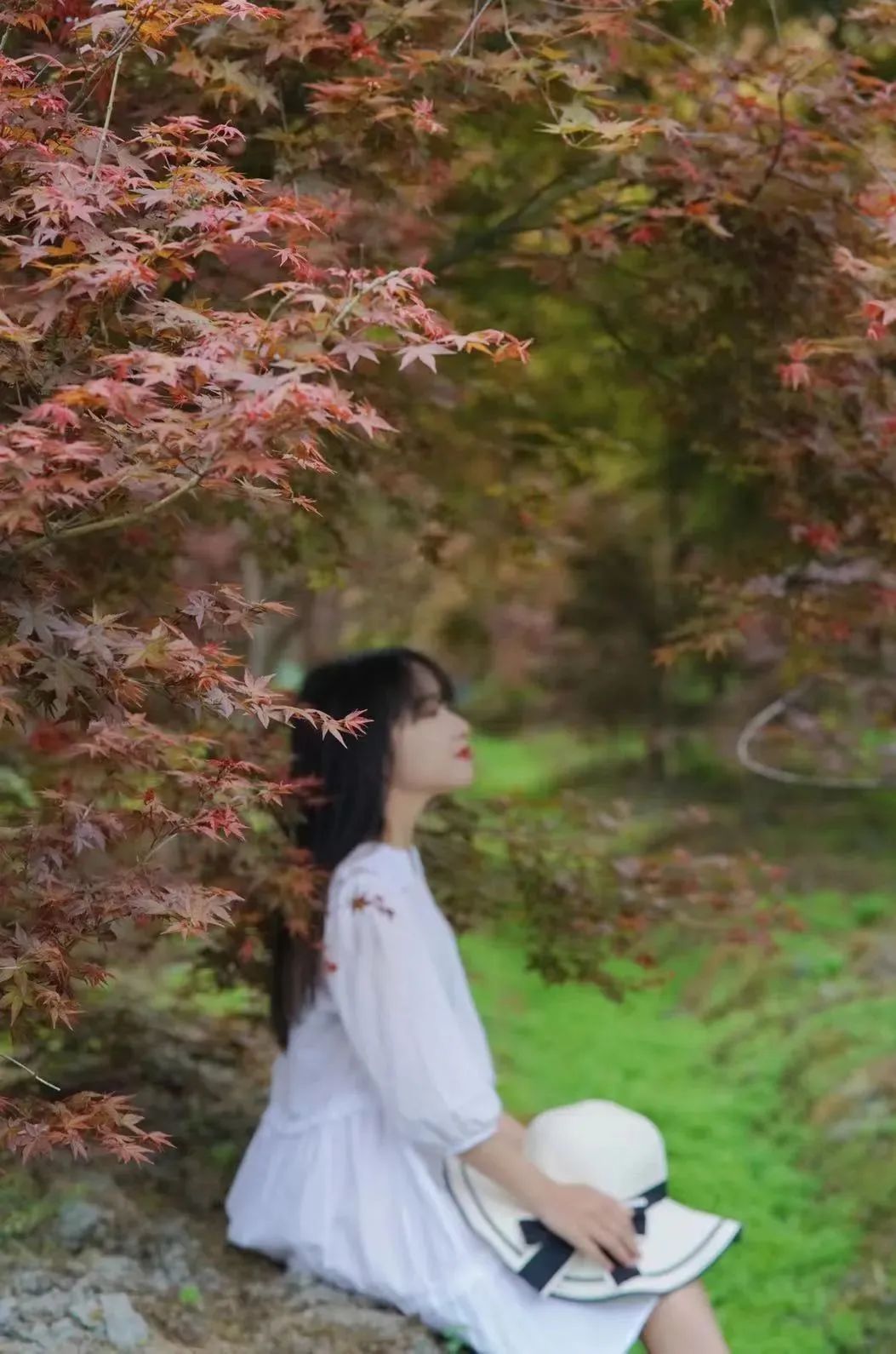 提前盛开！成都市区这个被偏爱的宝藏地又上新，即将刷爆全网