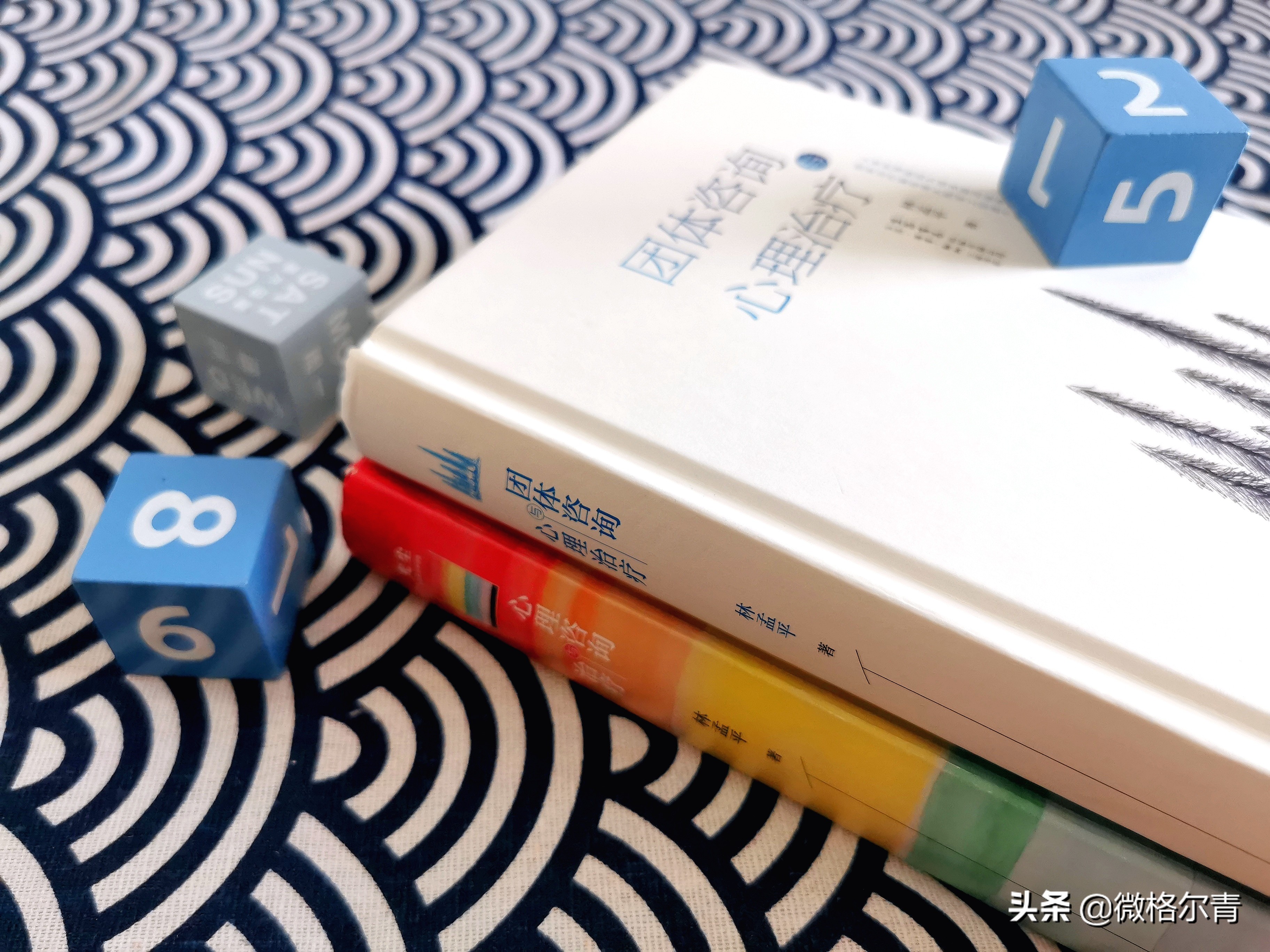 团体咨询与治疗：抱团取暖，彼此成就自我之路