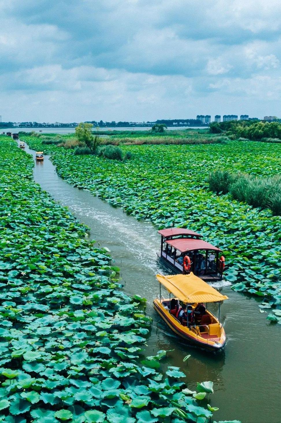 淮阳区近况,淮阳区复工最新消息