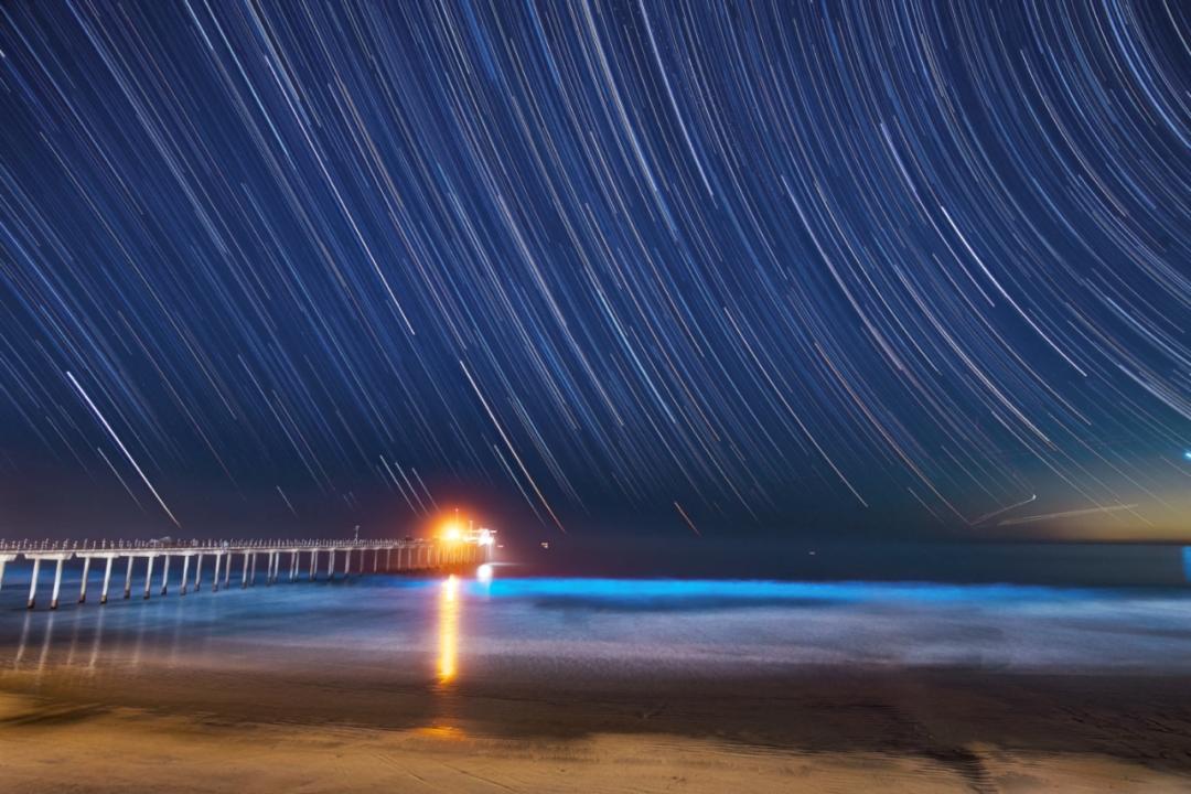 英国留学金融研究生就业去向统计,英国留学生物技术就业前景如何