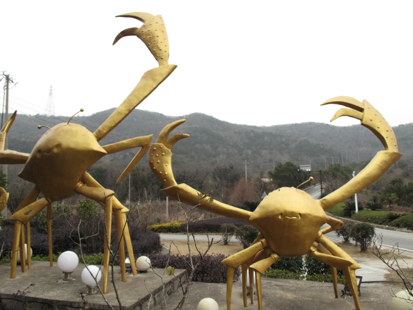 岱山岛为什么叫岱山岛呢,岱山岛定位