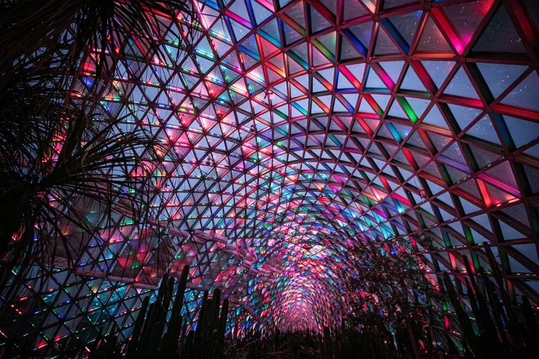 上海沉浸式夜游公园,上海森林公园夜游