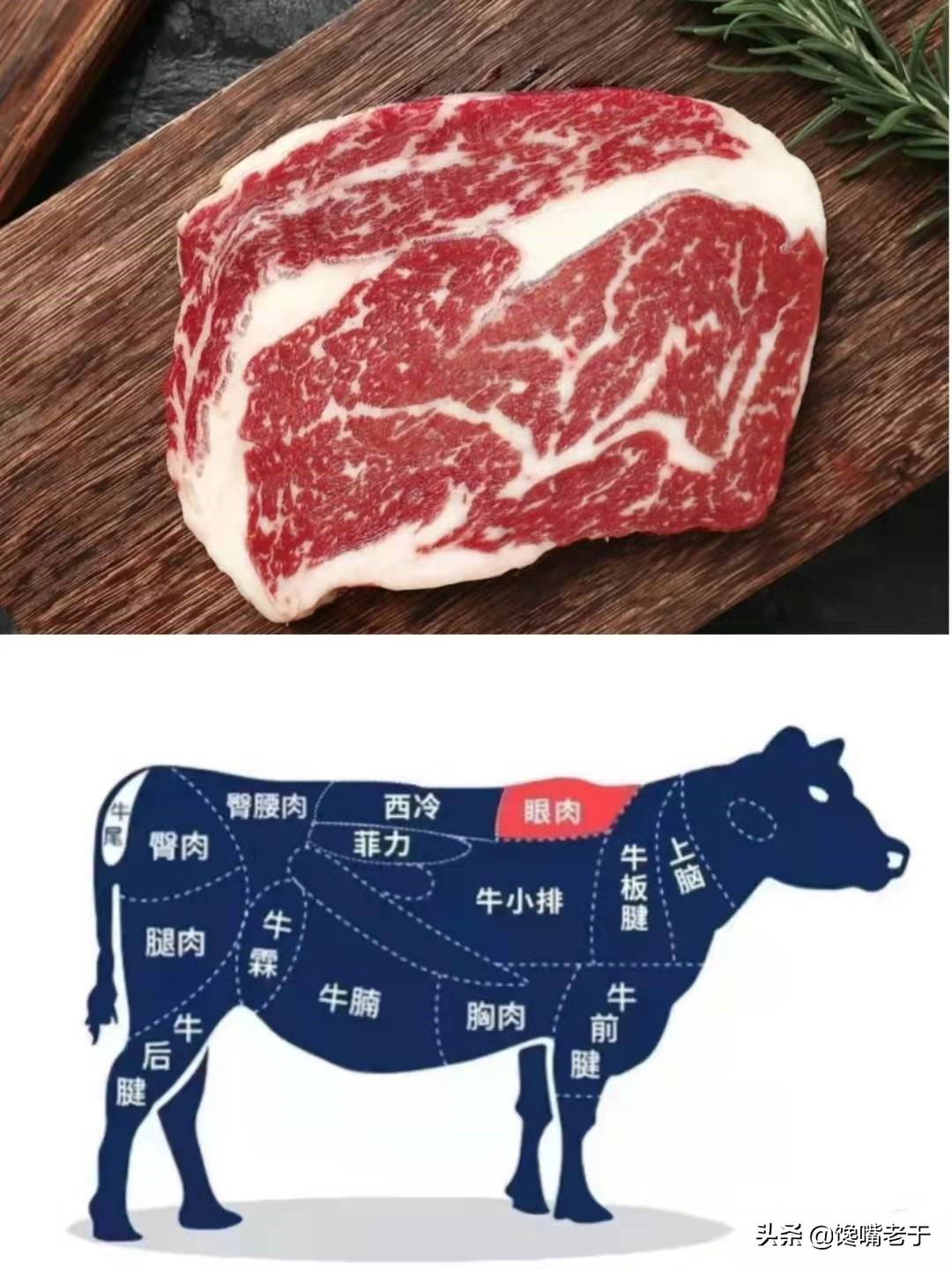 哪个牌子的菲力牛排好,菲力牛排哪个牌子好