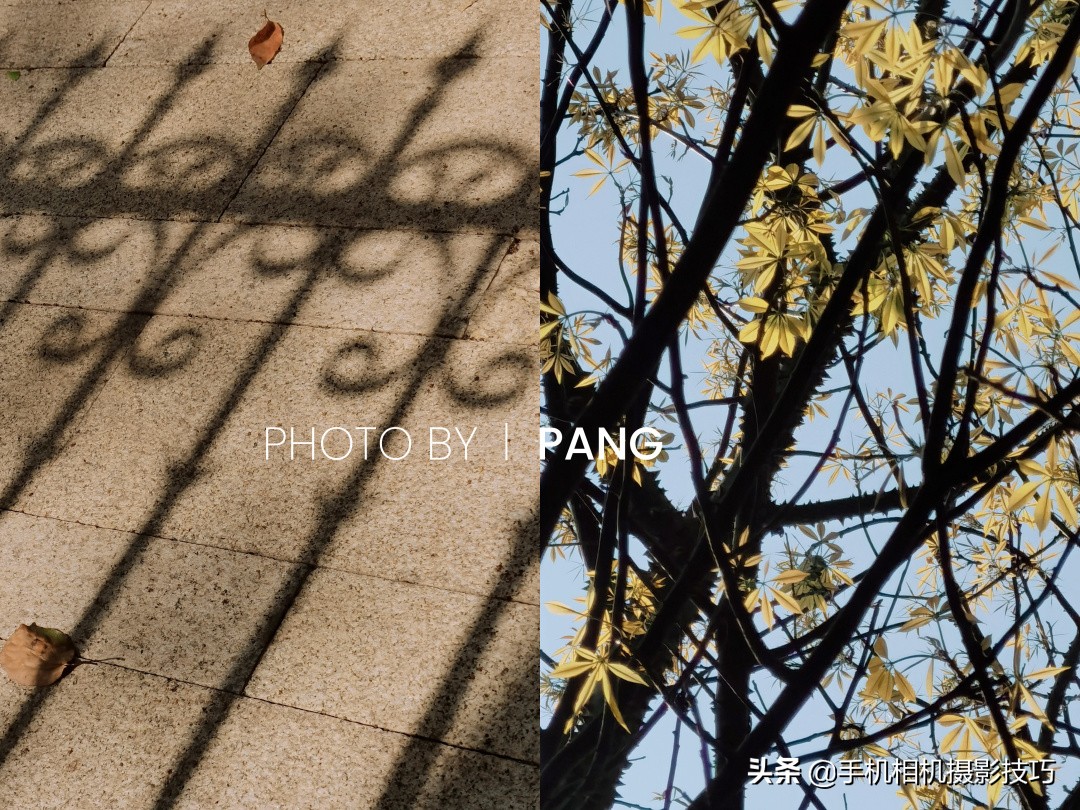 18组照片,18幅普通人拍出来的好照片